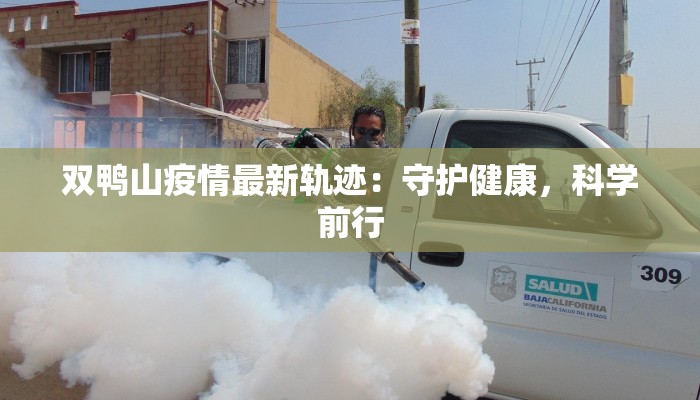 双鸭山疫情最新轨迹：守护健康，科学前行