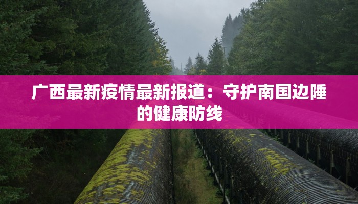 广西最新疫情最新报道：守护南国边陲的健康防线