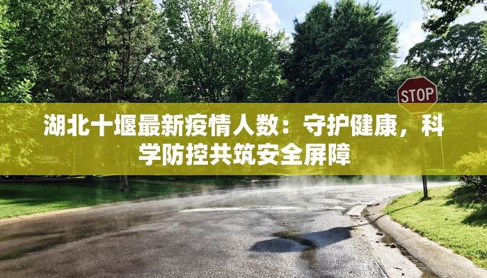 湖北十堰最新疫情人数:守护健康,科学防控共筑安全屏障 湖北十堰最新疫情人数:守护健康,科学防控共筑安全屏障