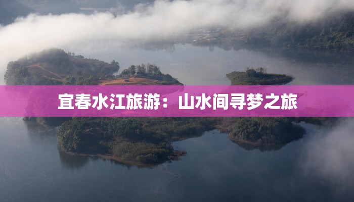 台商疫情来源最新:揭秘背后的真相与启示 台商疫情来源最新:揭秘背后的真相与启示
